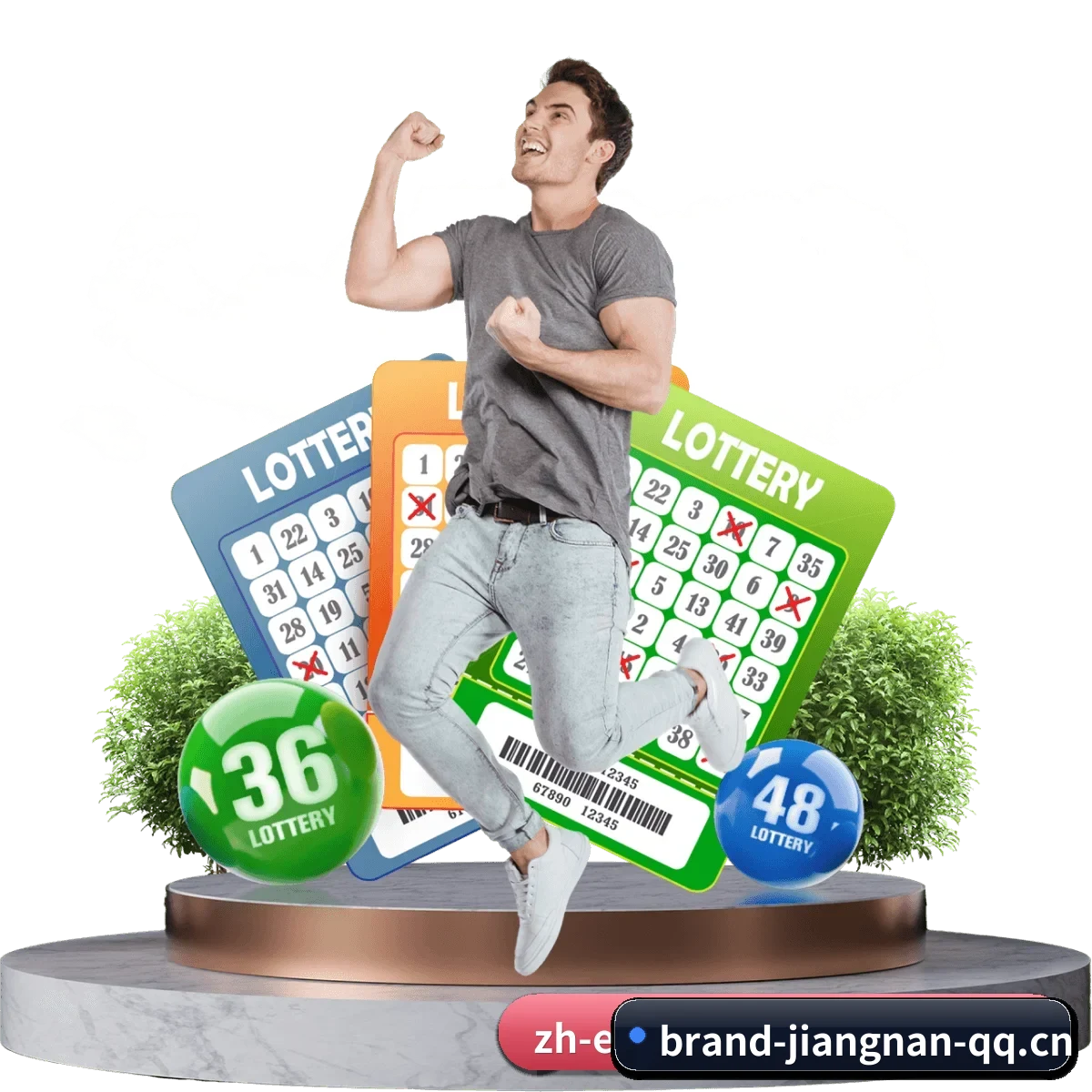 江南体育 APP 界面